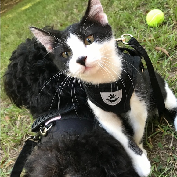 like new black leather buttery soft Wilson’s leather vintage - Picture 13 of 16